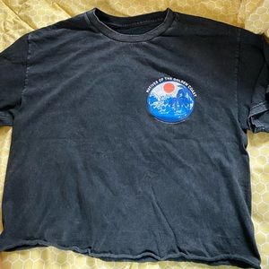 john galt/brandy melville crop top